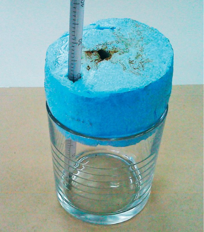 Figure 3: The beaker is sealed with a polystyrene lid, through which a thermometer passes.