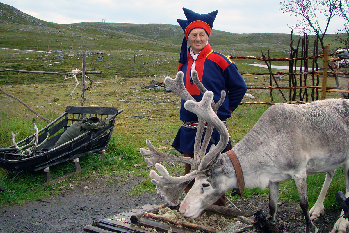 Saami man with reindeer