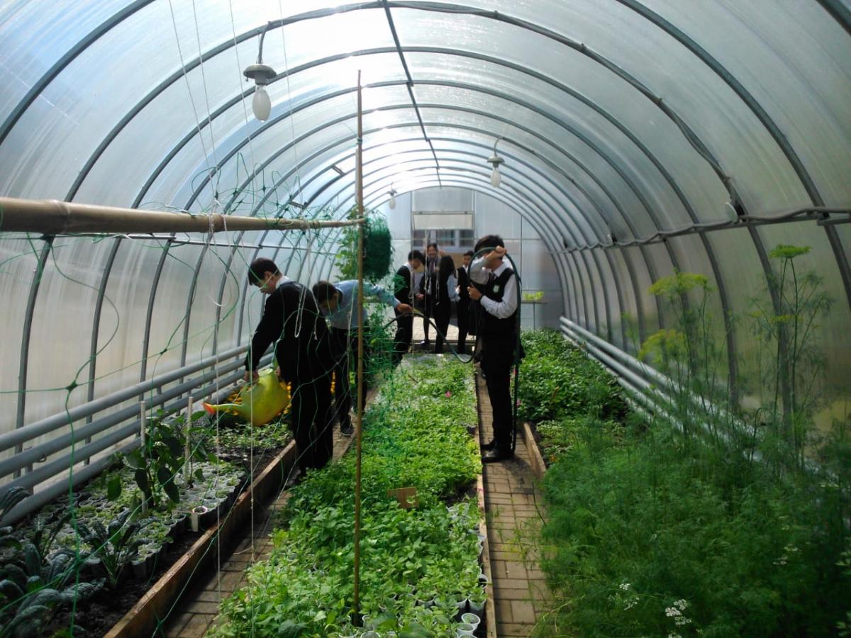 Students at work in the greenhouse