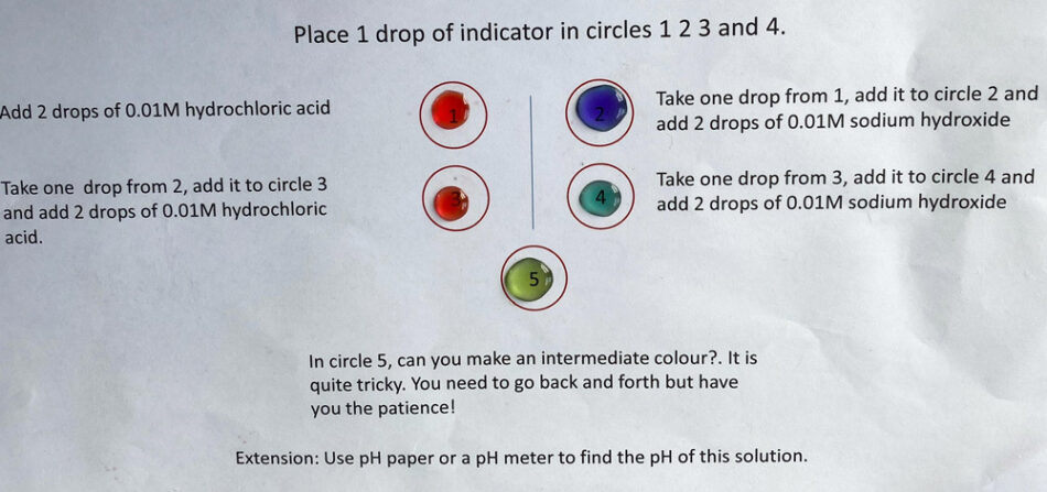 Drops of indicator solution change colour again after the pH is changed, which shows that the reaction is reversible.